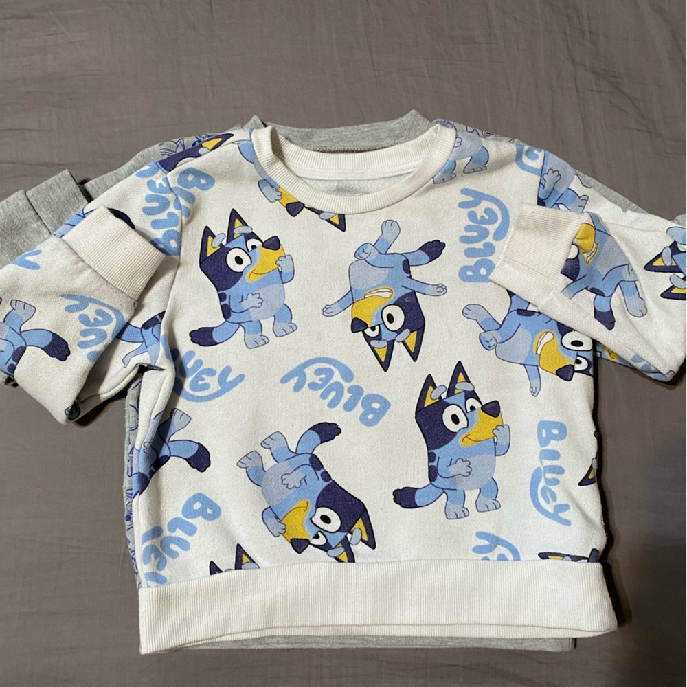 2t - 4t sweater bundle. Bluey , paw patrol